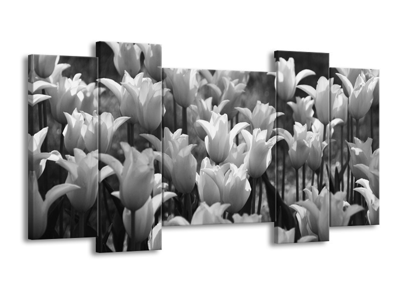 Canvas Schilderij Tulpen, Bloemen | Zwart, Grijs | 120x65cm 5Luik