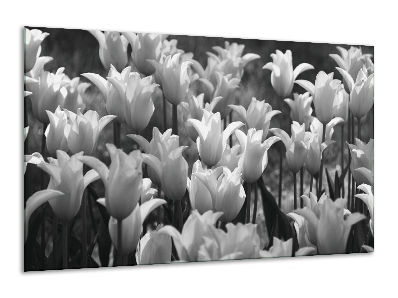 Canvas Schilderij Tulpen, Bloemen | Zwart, Grijs | 120x70cm 1Luik