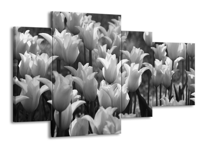 Glasschilderij Tulpen, Bloemen | Zwart, Grijs | 120x75cm 4Luik