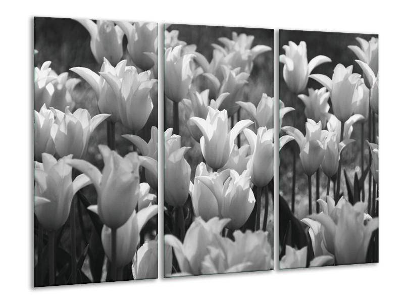 Canvas Schilderij Tulpen, Bloemen | Zwart, Grijs | 120x80cm 3Luik