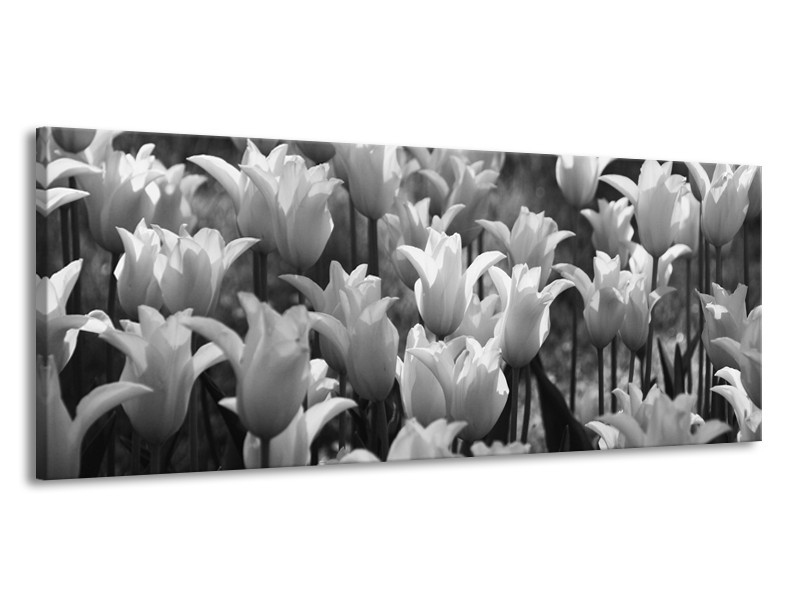 Canvas Schilderij Tulpen, Bloemen | Zwart, Grijs | 145x58cm 1Luik