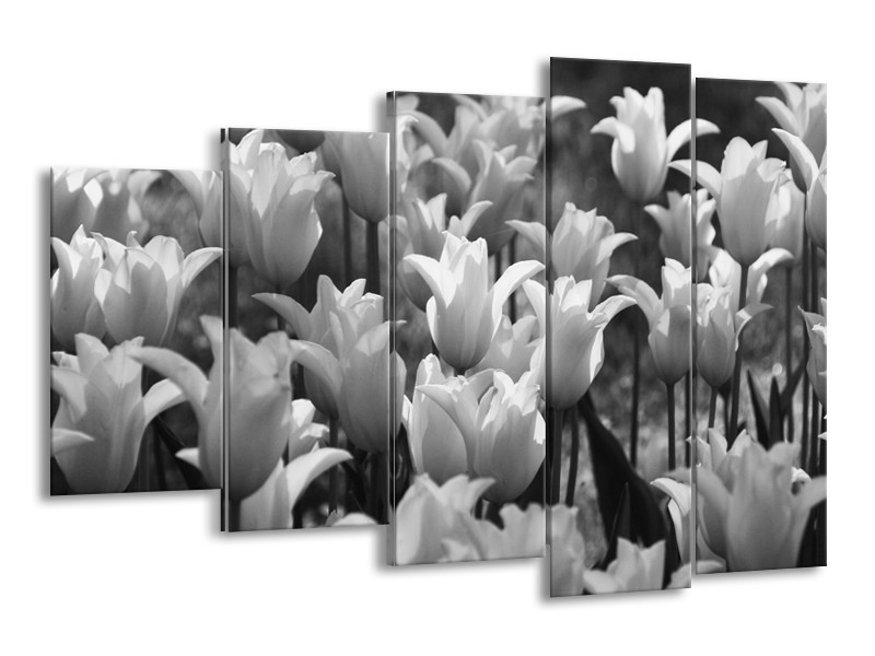 Canvas Schilderij Tulpen, Bloemen | Zwart, Grijs | 150x100cm 5Luik