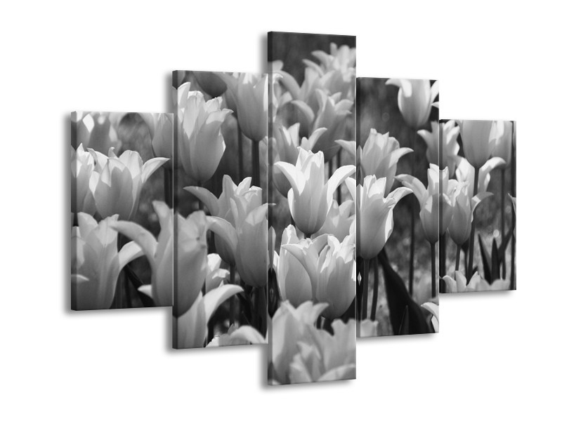 Canvas Schilderij Tulpen, Bloemen | Zwart, Grijs | 150x105cm 5Luik