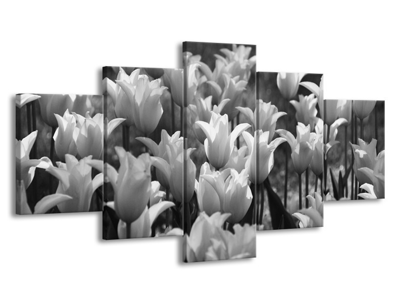 Glasschilderij Tulpen, Bloemen | Zwart, Grijs | 150x80cm 5Luik