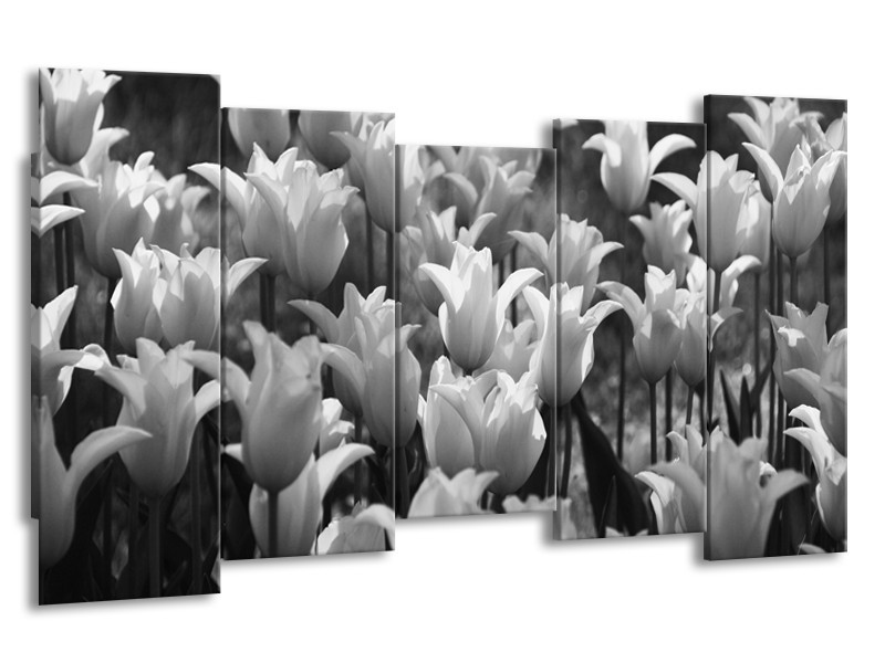 Canvas Schilderij Tulpen, Bloemen | Zwart, Grijs | 150x80cm 5Luik
