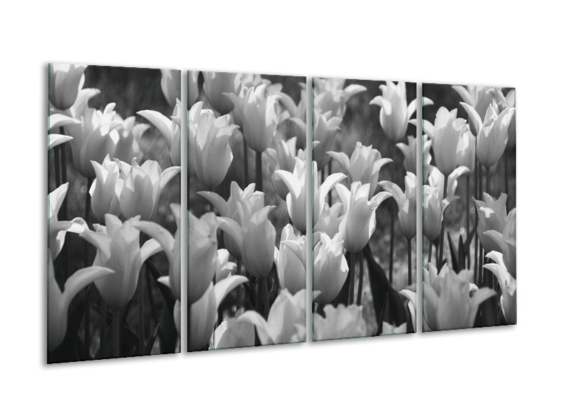 Glasschilderij Tulpen, Bloemen | Zwart, Grijs | 160x80cm 4Luik