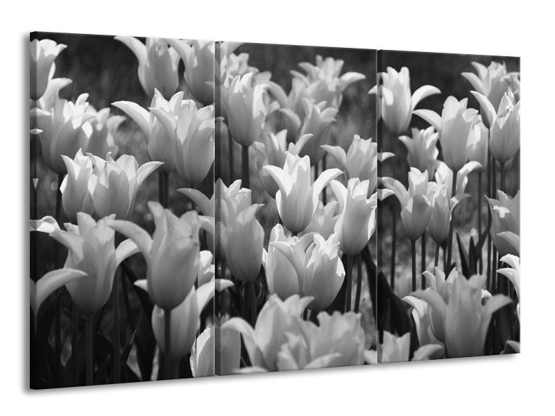 Canvas Schilderij Tulpen, Bloemen | Zwart, Grijs | 165x100cm 3Luik