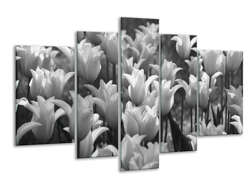 Glasschilderij Tulpen, Bloemen | Zwart, Grijs | 170x100cm 5Luik