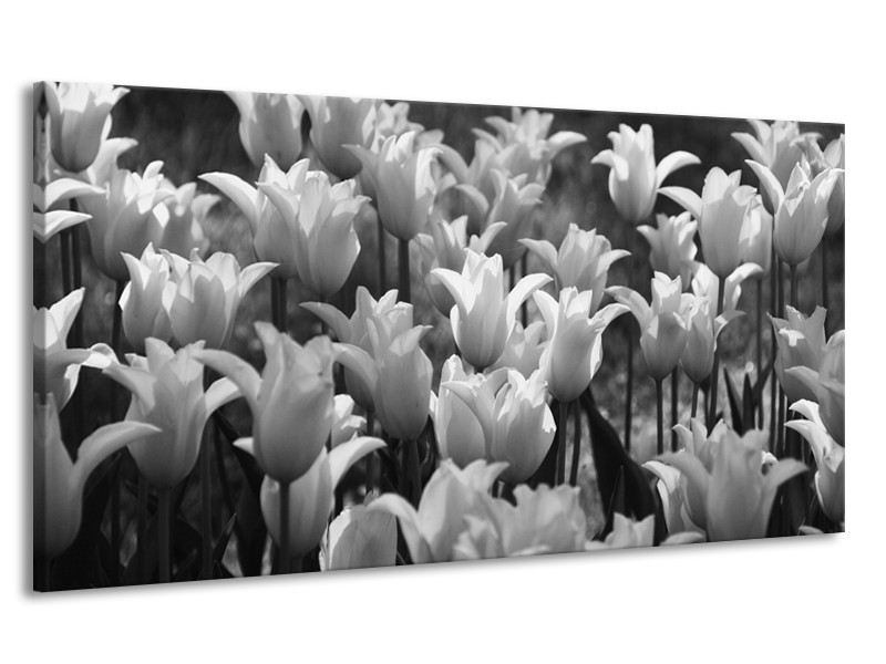 Canvas Schilderij Tulpen, Bloemen | Zwart, Grijs | 170x90cm 1Luik