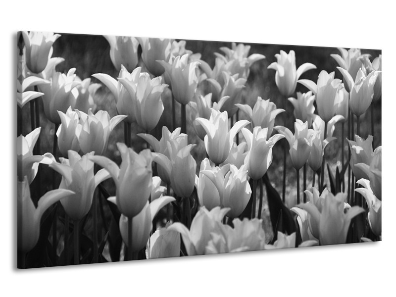 Canvas Schilderij Tulpen, Bloemen | Zwart, Grijs | 190x100cm 1Luik