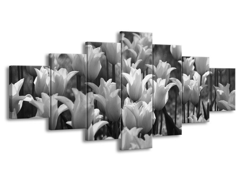 Glasschilderij Tulpen, Bloemen | Zwart, Grijs | 210x100cm 7Luik
