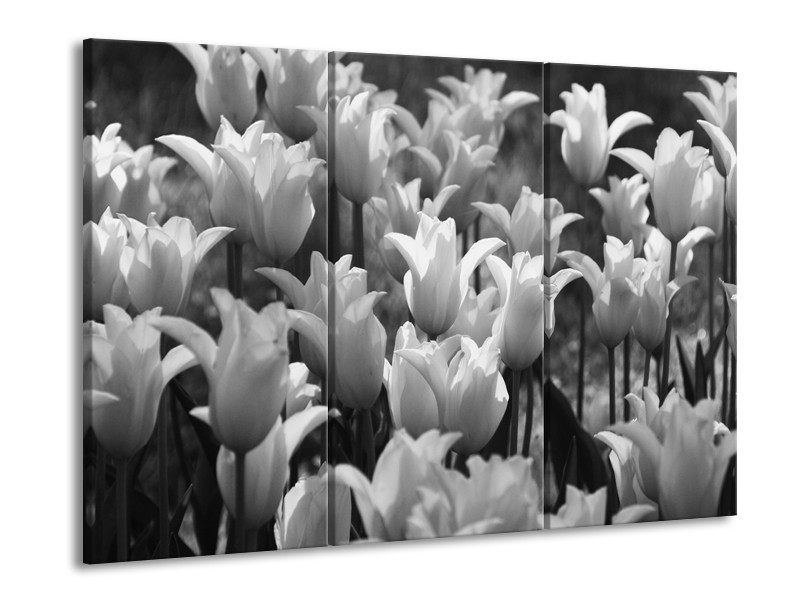 Canvas Schilderij Tulpen, Bloemen | Zwart, Grijs | 60x90cm 3Luik