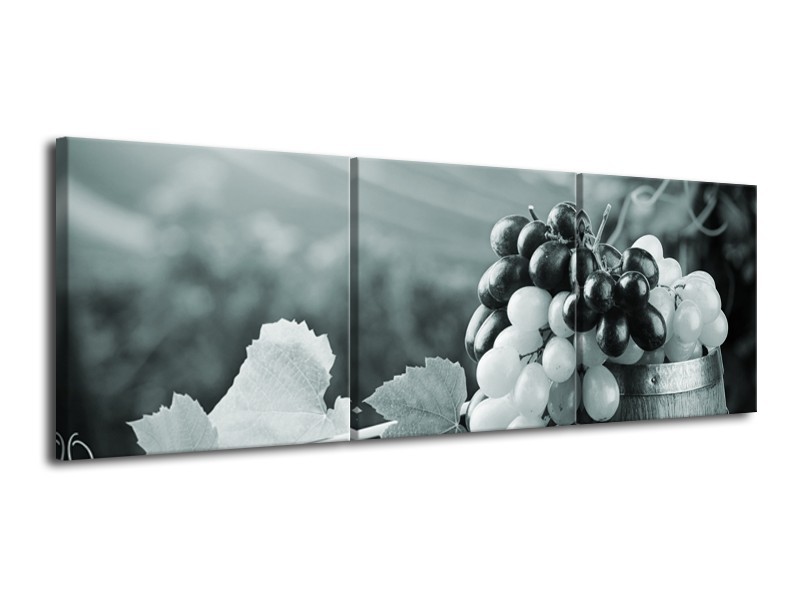 Glasschilderij Druiven, Keuken | Grijs, Groen | 120x40cm 3Luik