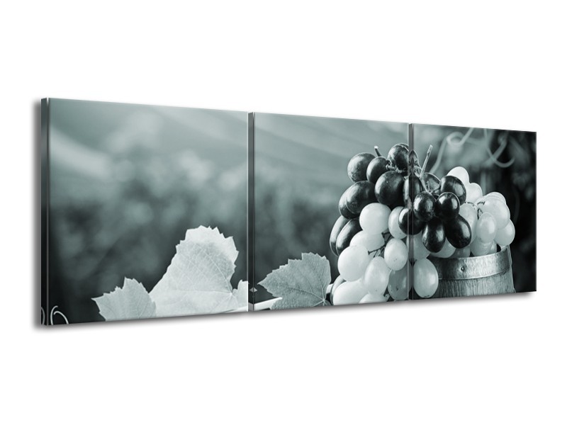 Glasschilderij Druiven, Keuken | Grijs, Groen | 150x50cm 3Luik