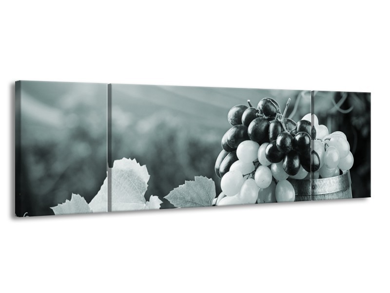 Glasschilderij Druiven, Keuken | Grijs, Groen | 170x50cm 3Luik