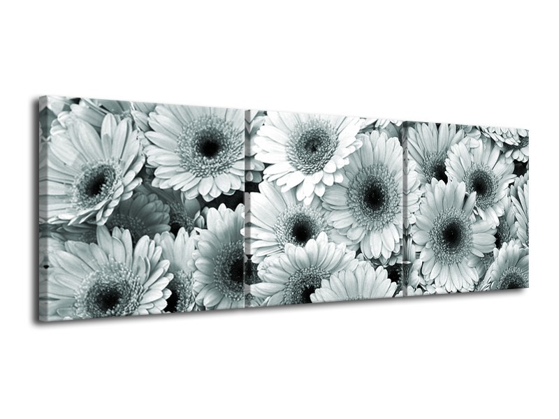 Glasschilderij Gerbera, Bloemen | Grijs, Groen | 120x40cm 3Luik