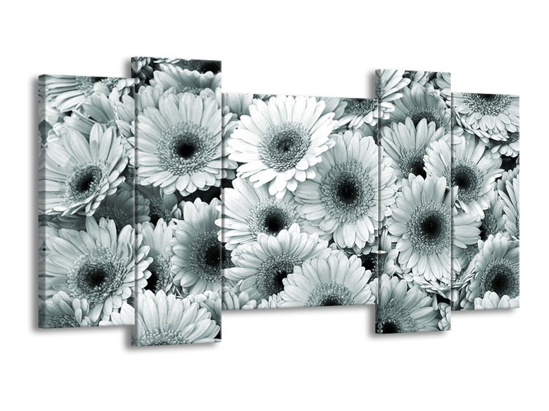 Glasschilderij Gerbera, Bloemen | Grijs, Groen | 120x65cm 5Luik