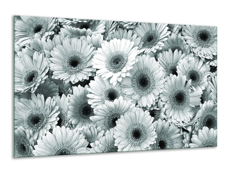 Canvas Schilderij Gerbera, Bloemen | Grijs, Groen | 120x70cm 1Luik