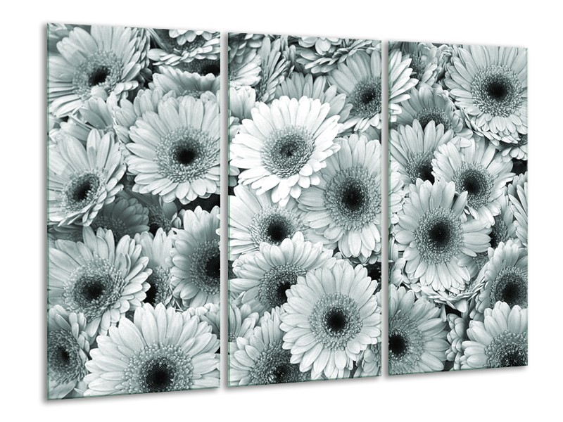 Glasschilderij Gerbera, Bloemen | Grijs, Groen | 120x80cm 3Luik