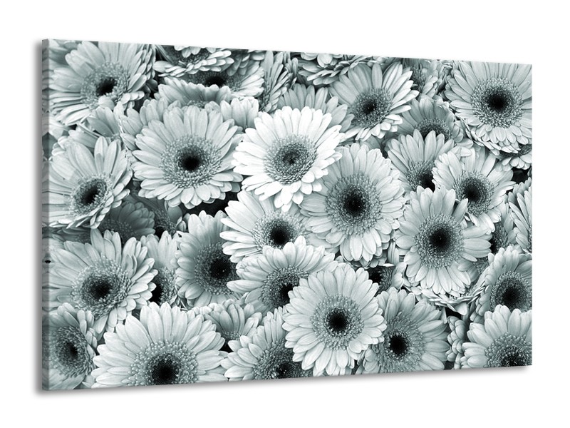 Glasschilderij Gerbera, Bloemen | Grijs, Groen | 140x90cm 1Luik