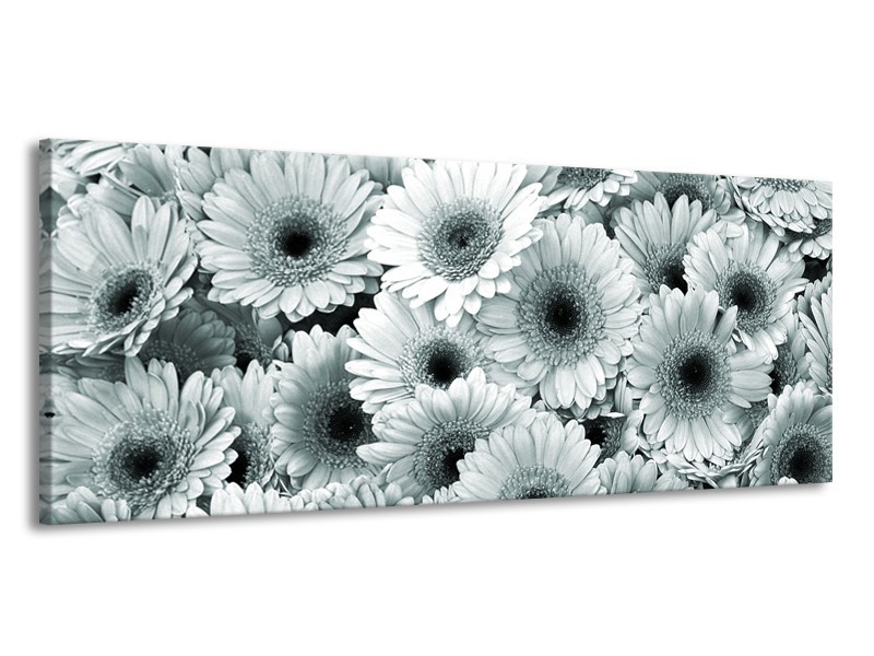 Canvas Schilderij Gerbera, Bloemen | Grijs, Groen | 145x58cm 1Luik