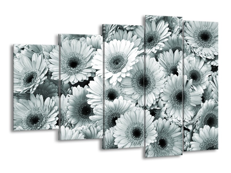 Glasschilderij Gerbera, Bloemen | Grijs, Groen | 150x100cm 5Luik