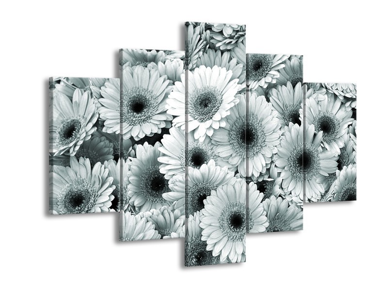 Glasschilderij Gerbera, Bloemen | Grijs, Groen | 150x105cm 5Luik