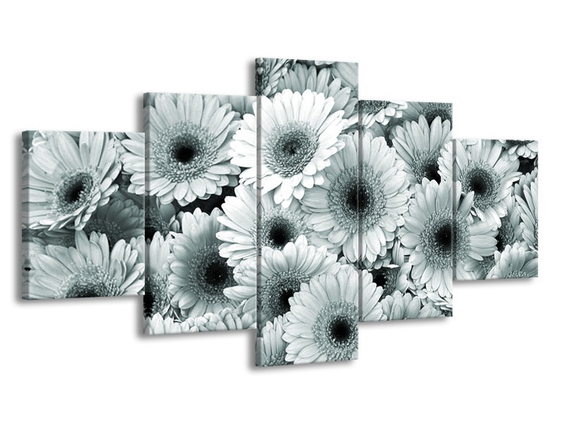 Glasschilderij Gerbera, Bloemen | Grijs, Groen | 150x80cm 5Luik