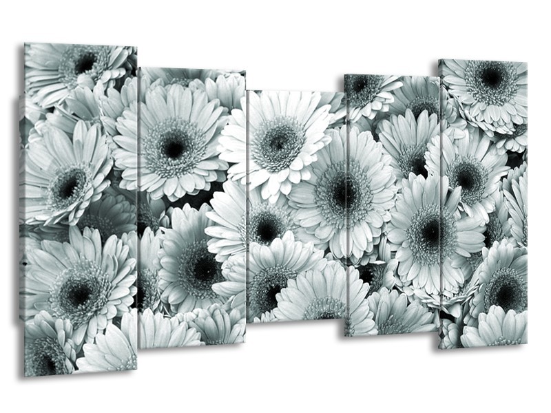 Glasschilderij Gerbera, Bloemen | Grijs, Groen | 150x80cm 5Luik