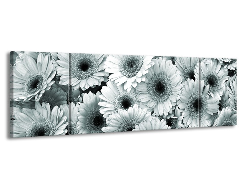 Canvas Schilderij Gerbera, Bloemen | Grijs, Groen | 170x50cm 3Luik