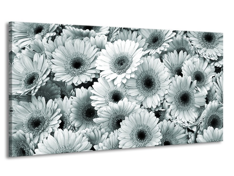 Canvas Schilderij Gerbera, Bloemen | Grijs, Groen | 170x90cm 1Luik