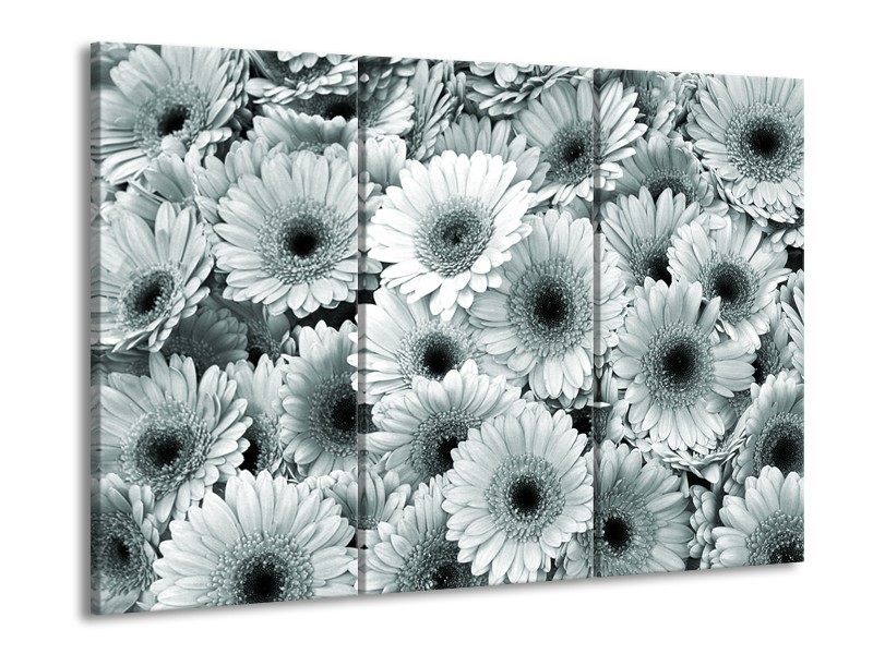 Canvas Schilderij Gerbera, Bloemen | Grijs, Groen | 60x90cm 3Luik