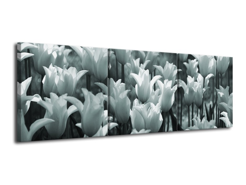 Canvas Schilderij Tulpen, Bloemen | Grijs, Groen | 120x40cm 3Luik