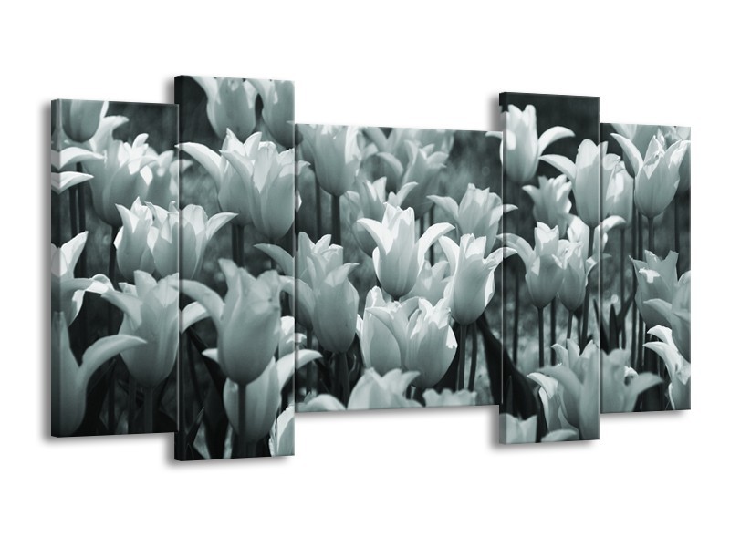 Glasschilderij Tulpen, Bloemen | Grijs, Groen | 120x65cm 5Luik