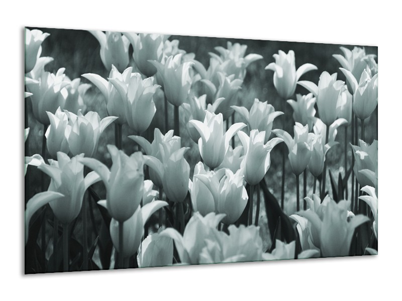 Canvas Schilderij Tulpen, Bloemen | Grijs, Groen | 120x70cm 1Luik