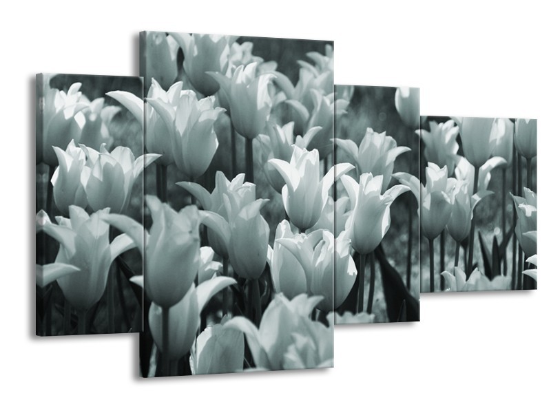 Glasschilderij Tulpen, Bloemen | Grijs, Groen | 120x75cm 4Luik