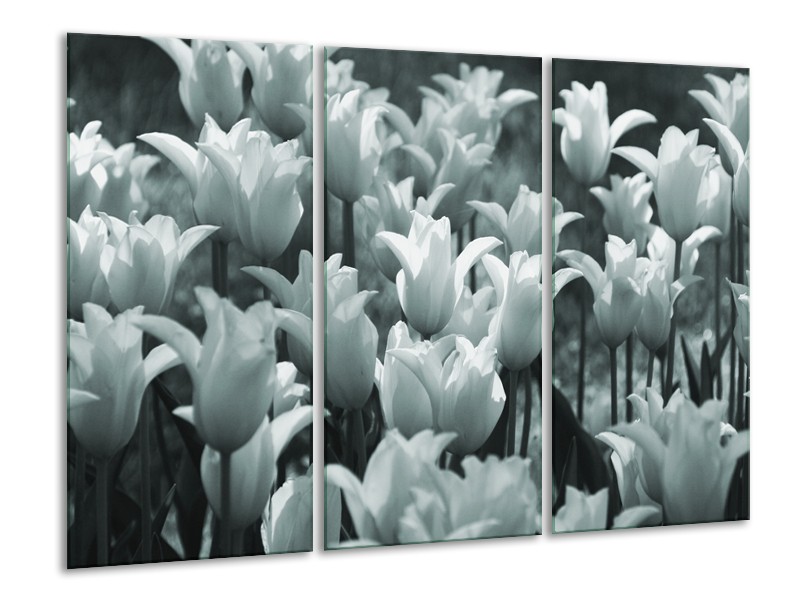 Canvas Schilderij Tulpen, Bloemen | Grijs, Groen | 120x80cm 3Luik