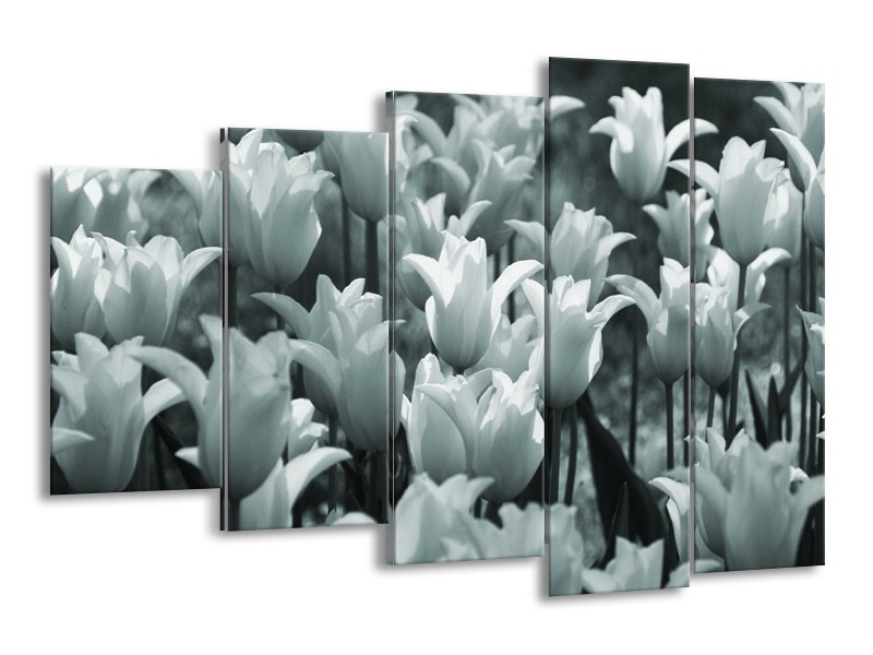 Glasschilderij Tulpen, Bloemen | Grijs, Groen | 150x100cm 5Luik