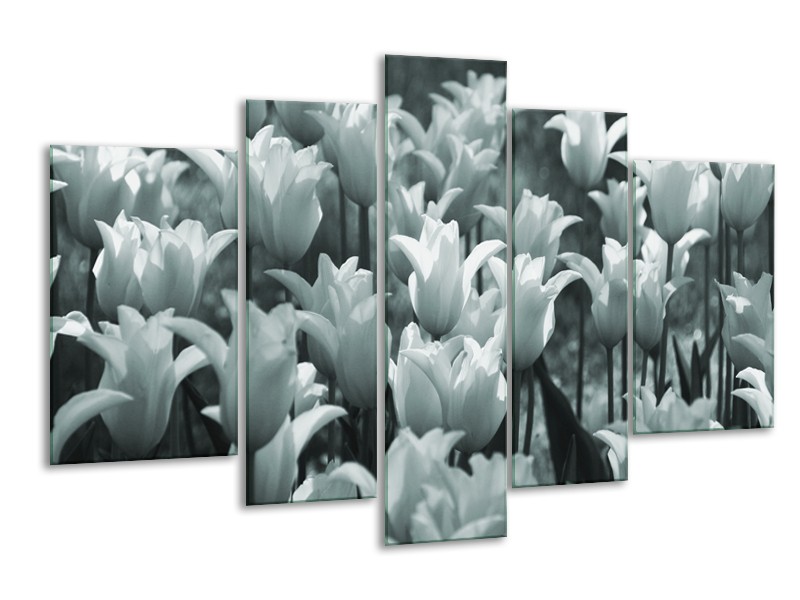 Glasschilderij Tulpen, Bloemen | Grijs, Groen | 170x100cm 5Luik