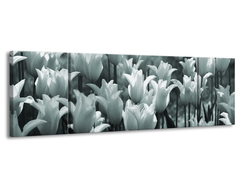 Canvas Schilderij Tulpen, Bloemen | Grijs, Groen | 170x50cm 3Luik