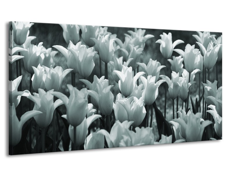 Canvas Schilderij Tulpen, Bloemen | Grijs, Groen | 170x90cm 1Luik
