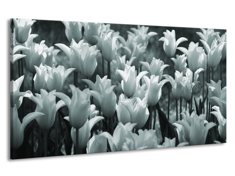 Canvas Schilderij Tulpen, Bloemen | Grijs, Groen | 190x100cm 1Luik