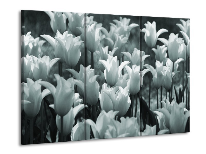 Glasschilderij Tulpen, Bloemen | Grijs, Groen | 60x90cm 3Luik