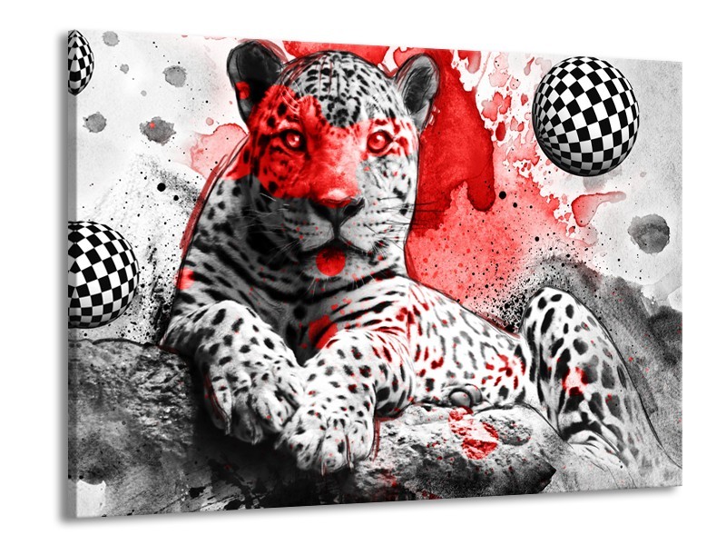 Canvas Schilderij Wilde Dieren | Rood, Grijs, Wit | 100x70cm 1Luik