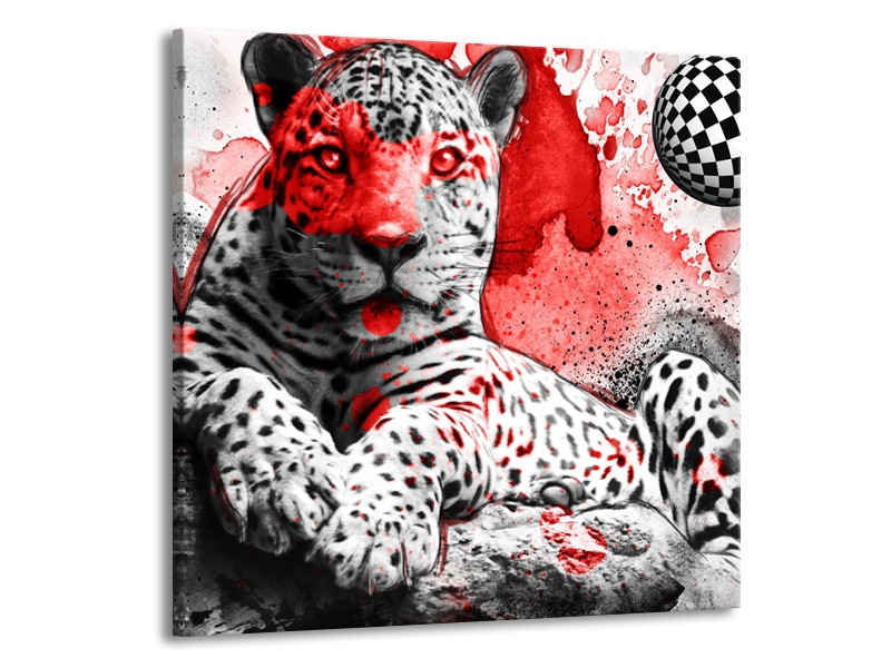 Canvas Schilderij Wilde Dieren | Rood, Grijs, Wit | 50x50cm 1Luik