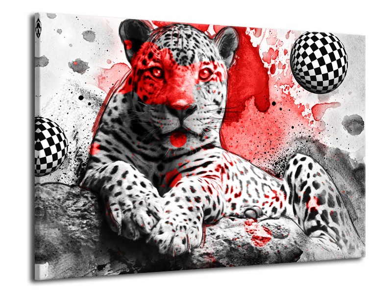 Glasschilderij Wilde Dieren | Rood, Grijs, Wit | 70x50cm 1Luik