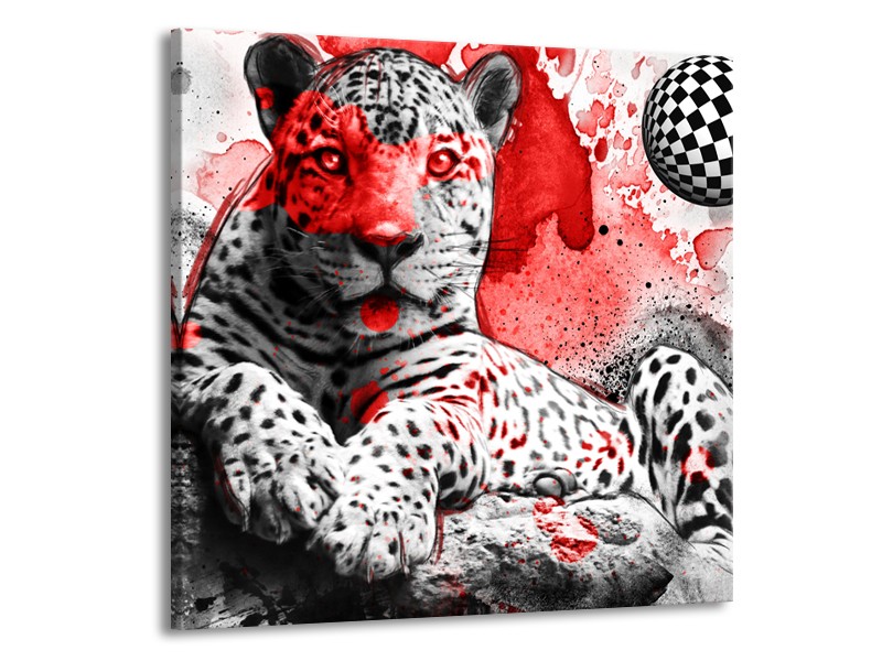 Glasschilderij Wilde Dieren | Rood, Grijs, Wit | 70x70cm 1Luik