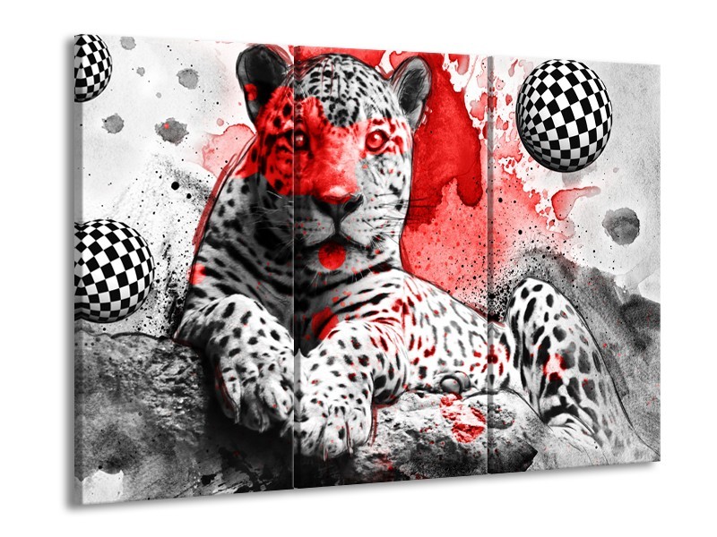 Canvas Schilderij Wilde Dieren | Rood, Grijs, Wit | 60x90cm 3Luik