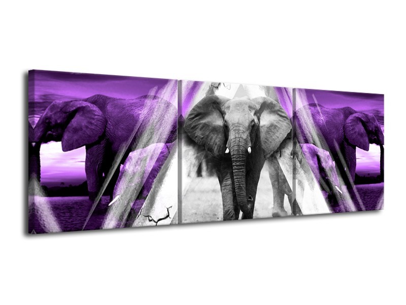 Canvas Schilderij Olifant, Dieren | Paars, Grijs, Zwart | 120x40cm 3Luik