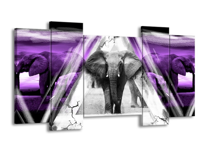 Glasschilderij Olifant, Dieren | Paars, Grijs, Zwart | 120x65cm 5Luik